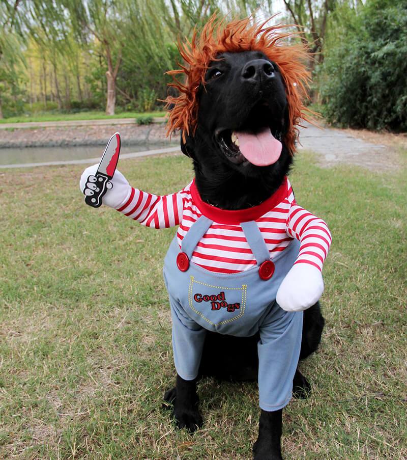 Dog Costume Crazy Doll