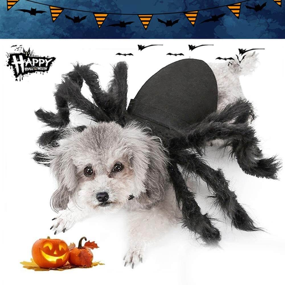 Halloween Pet Costume Spider Cosplay Dog Cat Spider Costume for Party Festival Decoration