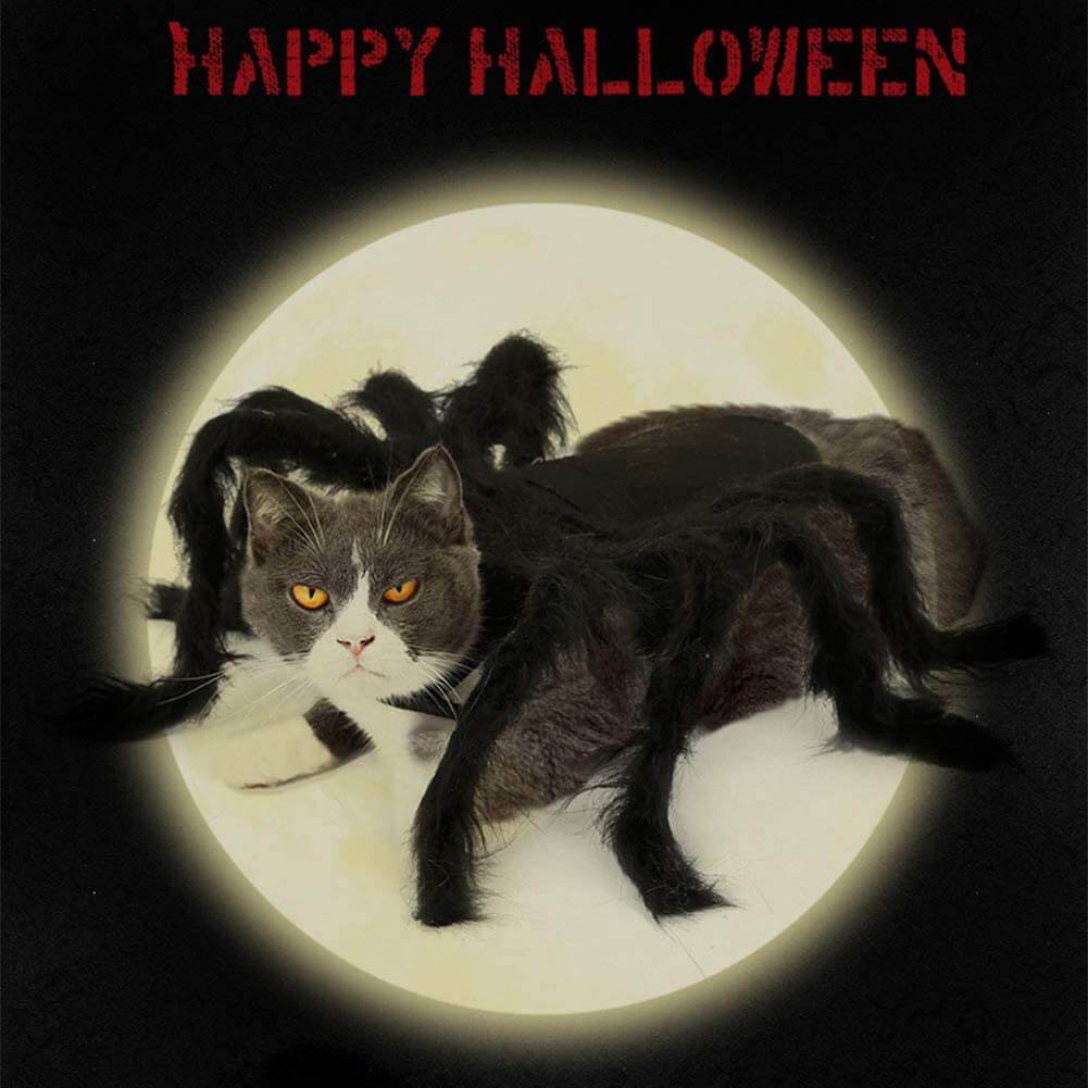 Halloween Pet Costume Spider Cosplay Dog Cat Spider Costume for Party Festival Decoration